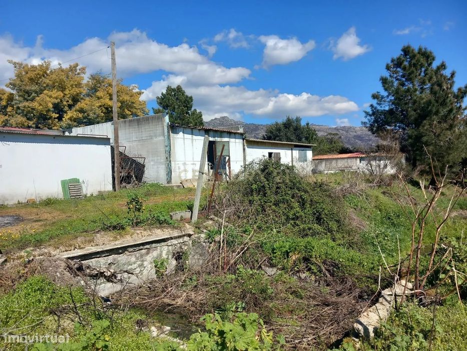 Quinta com 24750m2 Louriçal do campo
