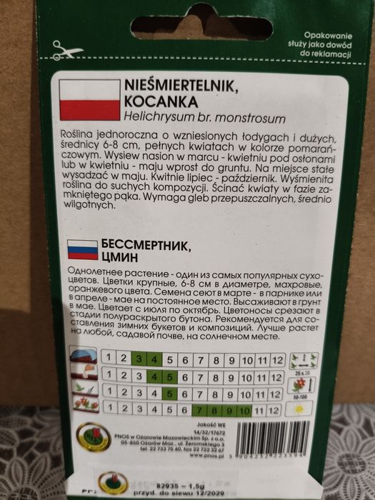 Nieśmiertelnik Kocanka nasiona