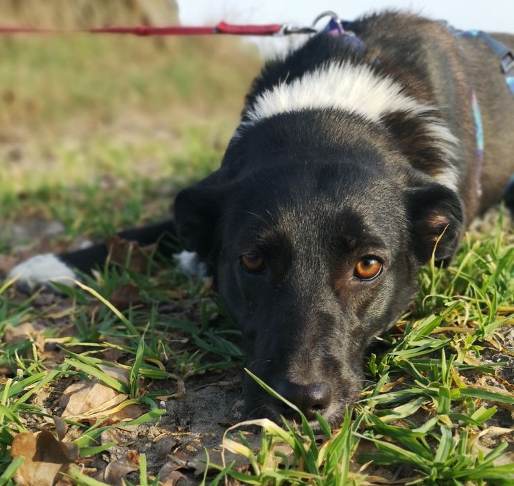 Delikatna i radosna Zosieńka