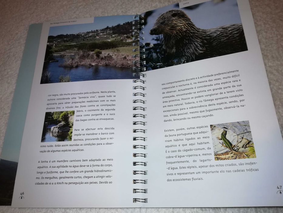 amarante (roteiro natural) 2001 livro