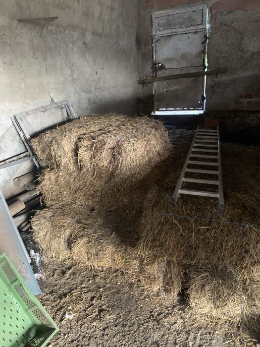 Fardos de feno pequenos excelentes