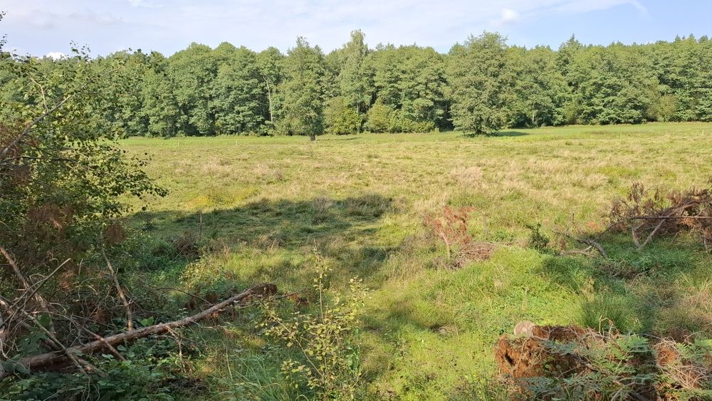 Dzialka 2000m2. Piękne ciche miejsce.