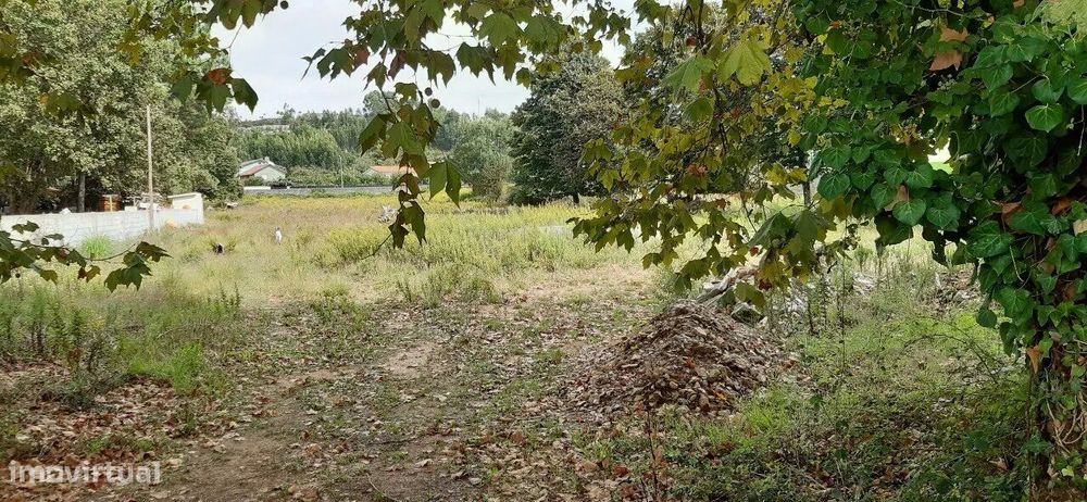 Terreno para construção em São Roque, Oliveira de Azeméis