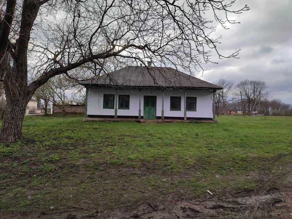 Земельна ділянка і хата (будинок) в с.Гвіздівці, Чернівецької області