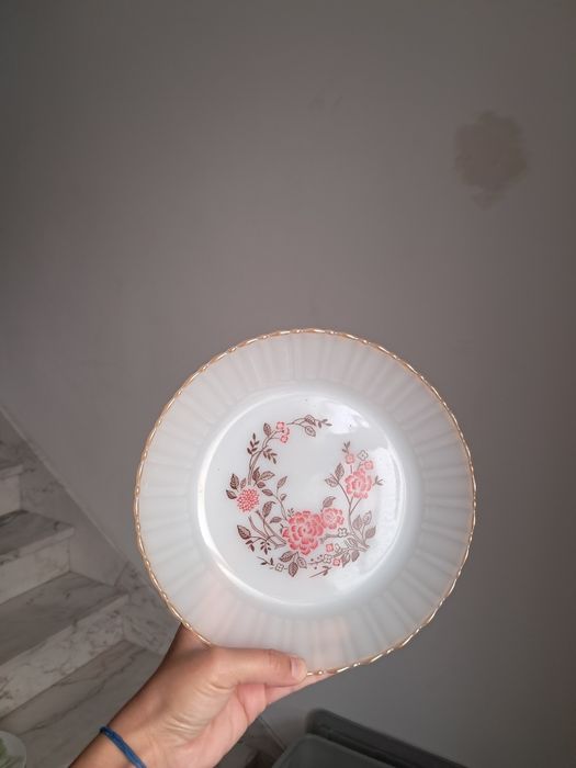 18 pratos Termocrisa México