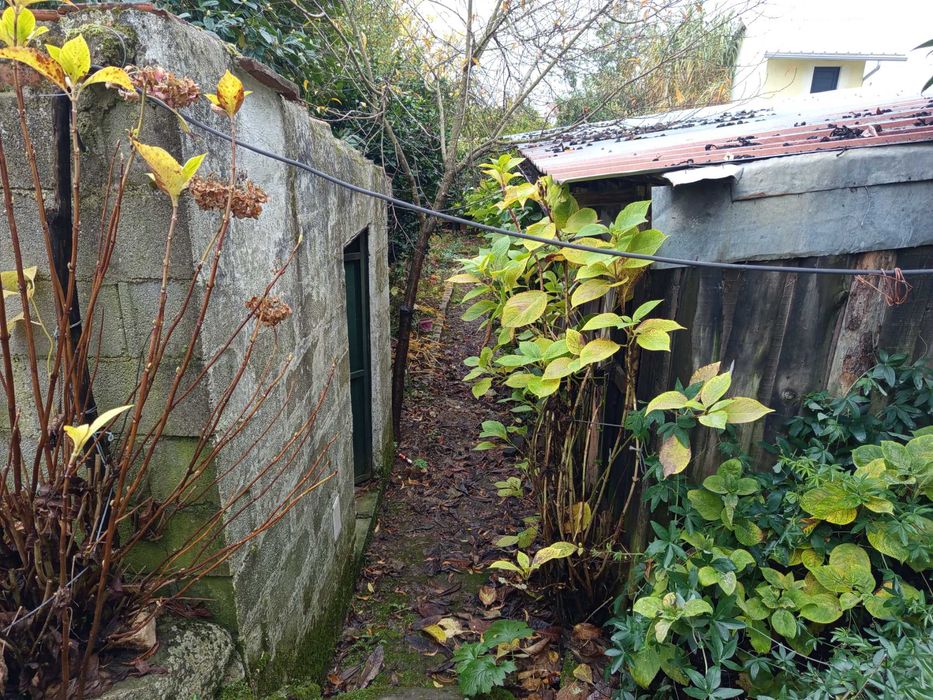 Terreno agrícola- Penalva do Castelo