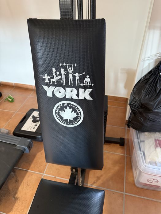 Muscle Training Machine425519760383027202