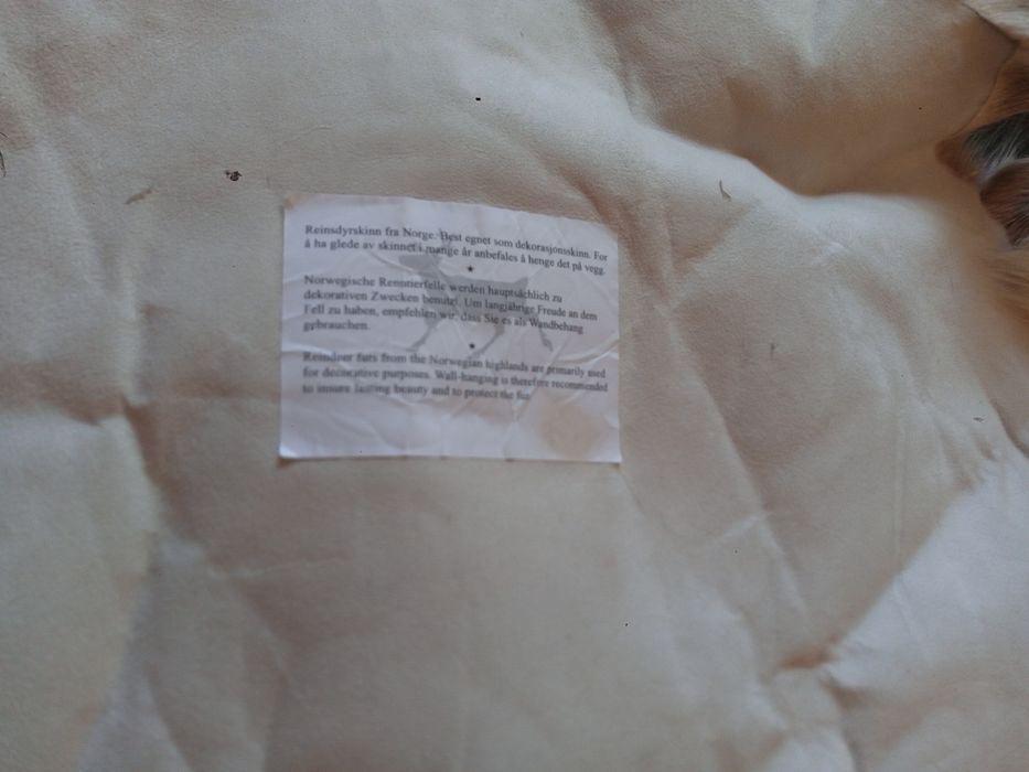 Pele de rena norueguesa