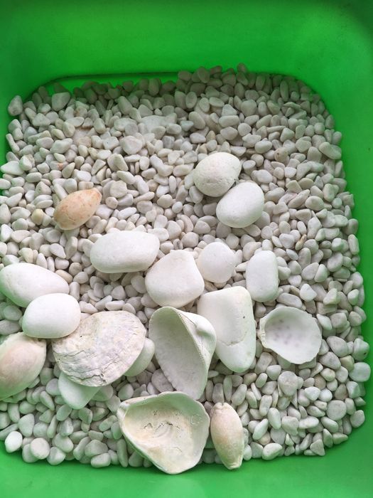 Ґрунт для акваріуму