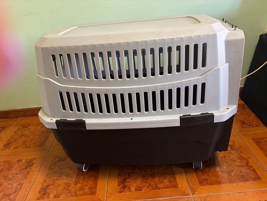 Transportadora para cão