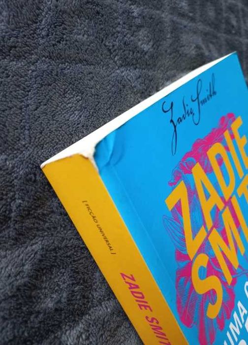 Uma Questão de Beleza - Zadie Smith