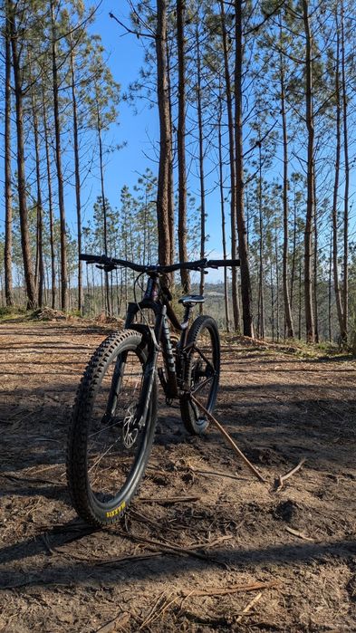 Giant stance 29 M (com upgrades)