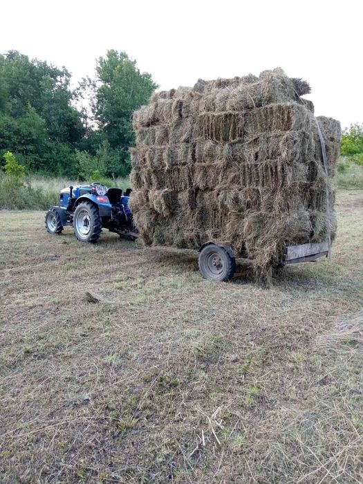 Продам Тюки Гарне сіно