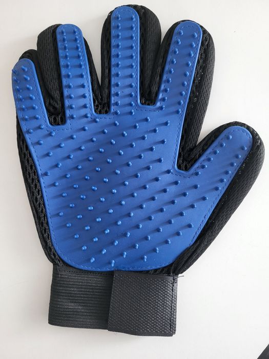 Rękawica do wyczesywania psa kota