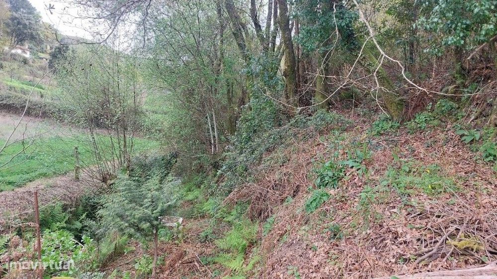 Terreno - Caldelas — Caldelas, Sequeiros E Paranhos, Braga