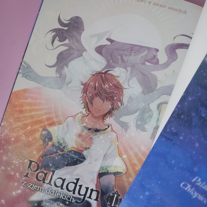 Paladyn z ziem dalekich manga tom 1