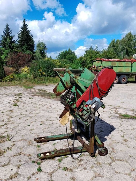 sortownik do ziemniaków i cebuli