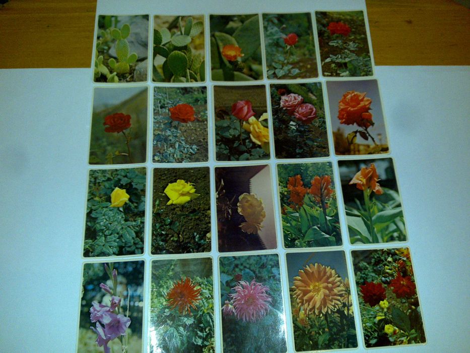 flores - coleção primavera (100 calendários) 1985 rara