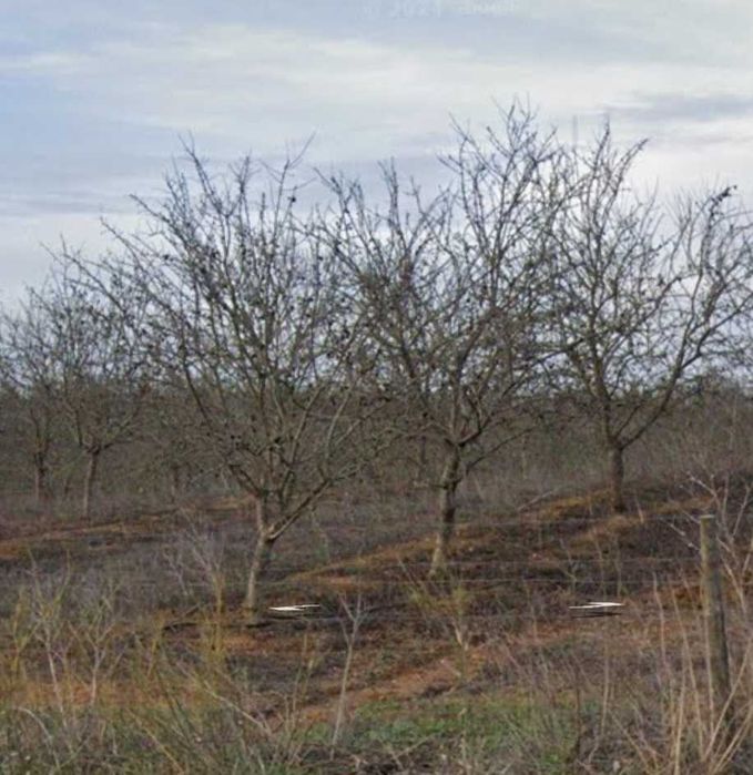 Terreno agrícola com água EDIA e furo em Messejana-Aljustrel