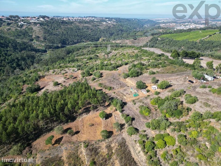 “Dabril”, Terreno Rústico em Mafra