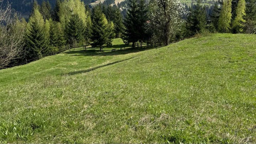 Інвестиція у ваше майбутнє: земельна ділянка у Верховині!