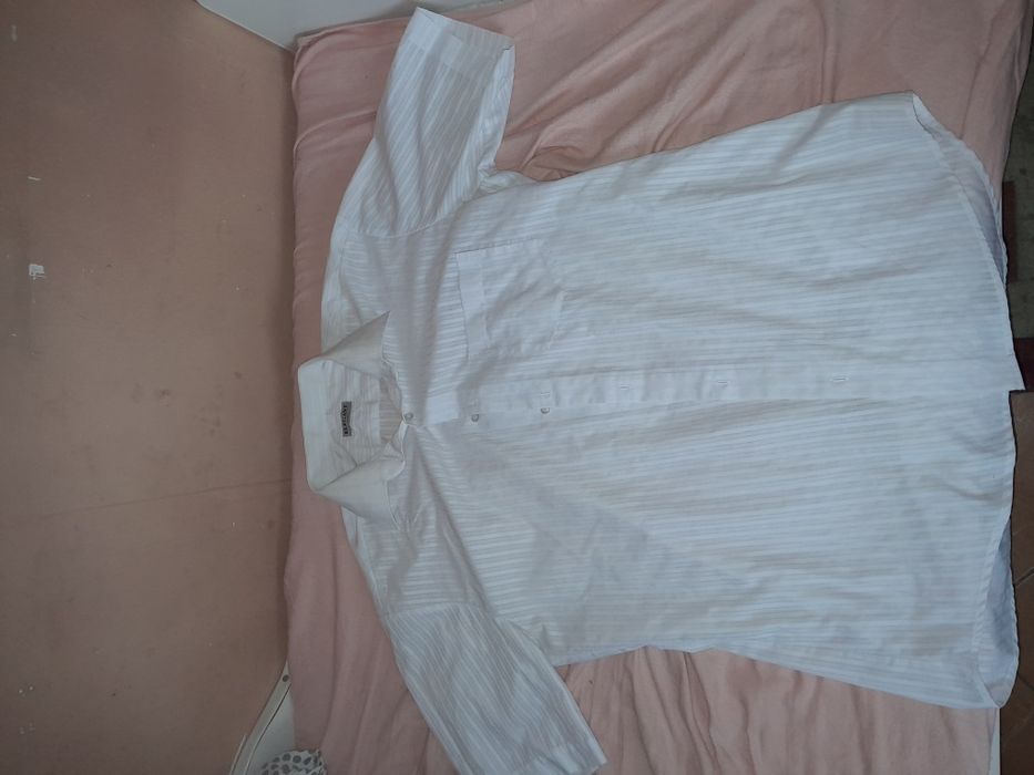 Koszula meska Elegant za grosze jak za darmo