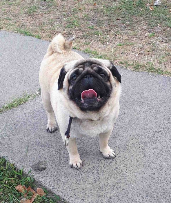 Шикарний хлопчик