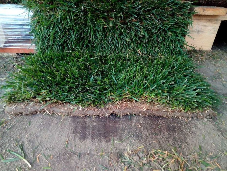 Увага Акція! на Якісний Рулонний газон Газон в рулонах від Виробника!