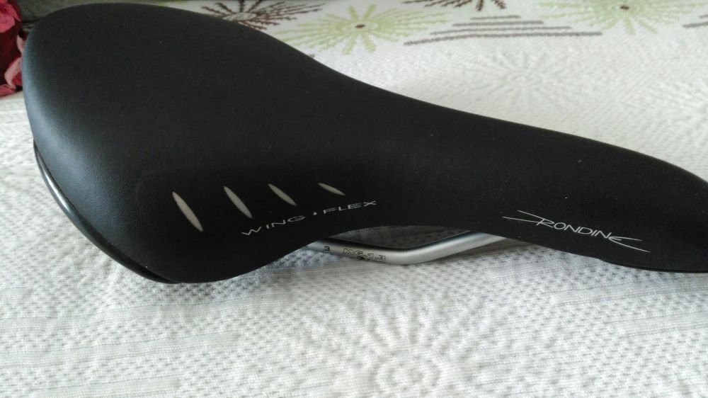 Selim Fizik Italiano