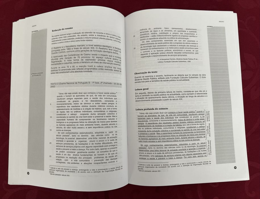 Técnicas de análise literária e construção de texto - Edições Sebenta ISBN 9727990118