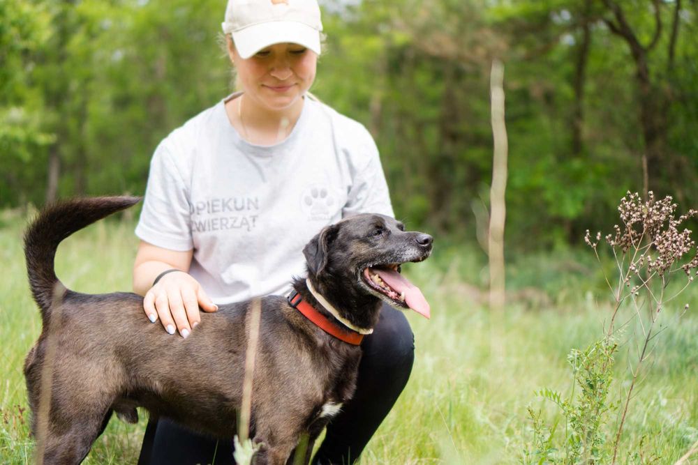 4 letni Bleki do adopcji!