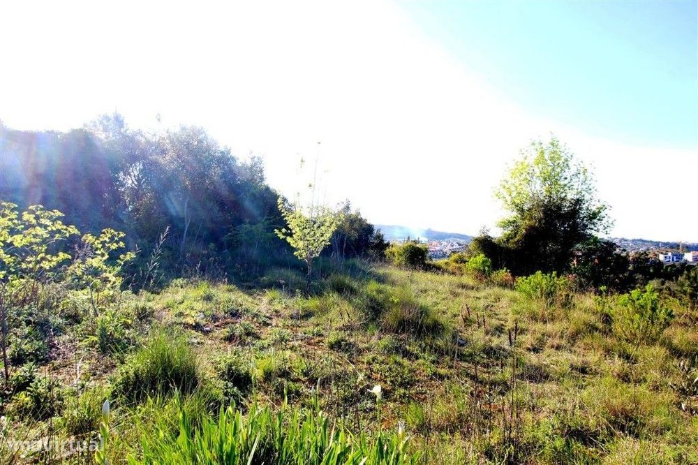 Venda Terreno