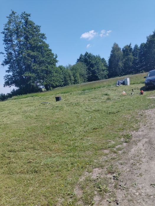 Usługi Ogrodnicze, wertykulacja trawników
