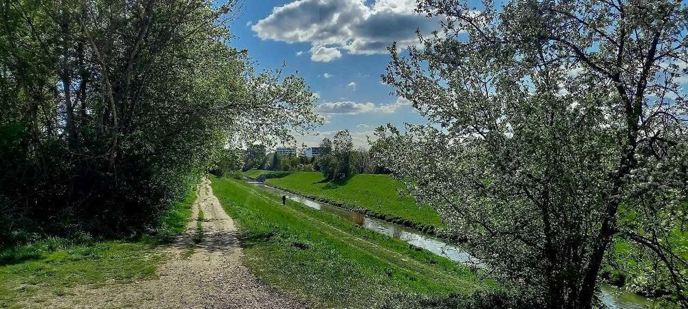 idealny pokój dla 1 os Konopnicka Park WYSOKI STANDARD bez prowizji