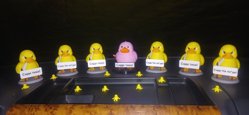 Качечки в машину