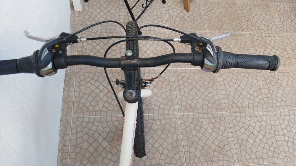Bicicleta Órbita Senhora roda 26
