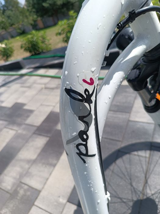 Rower damski Polak 6