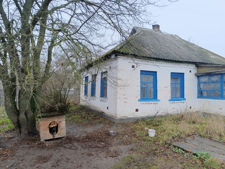 Будинок знаходиться в живописьній місцевісті с.Хоцькі.