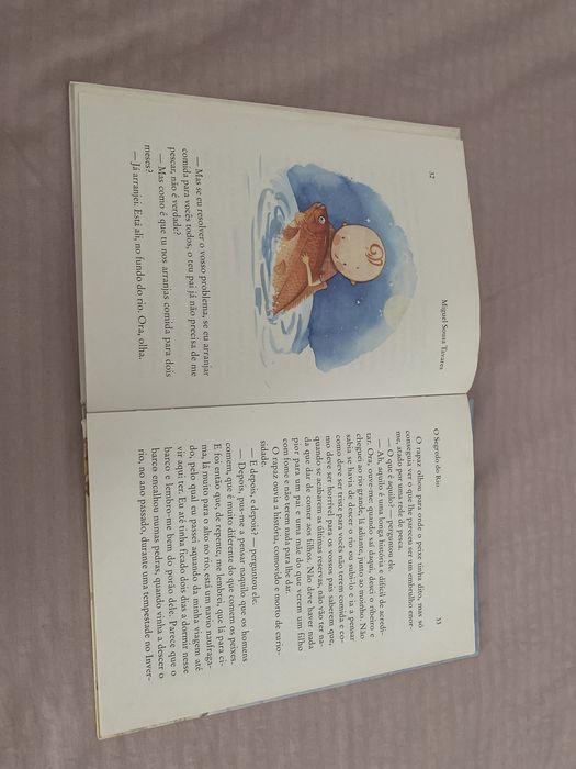 Livro infantil - O segredo do rio