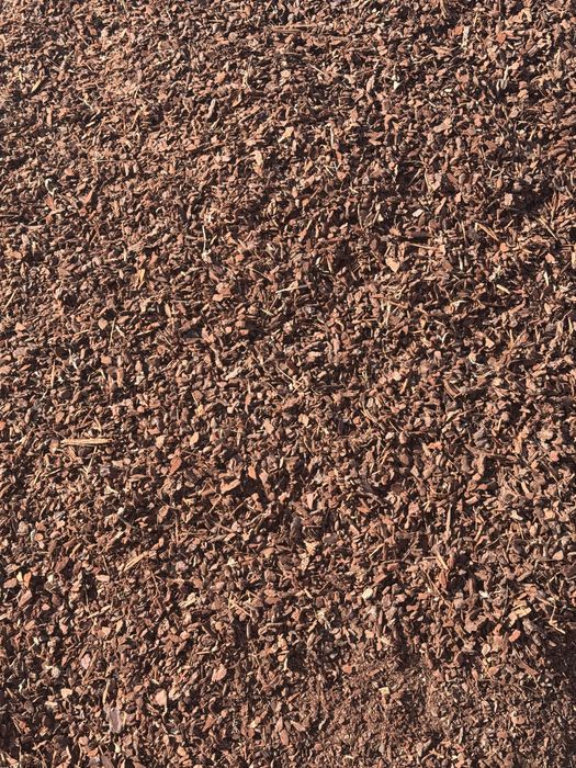 Casca de Pinho - Mulch