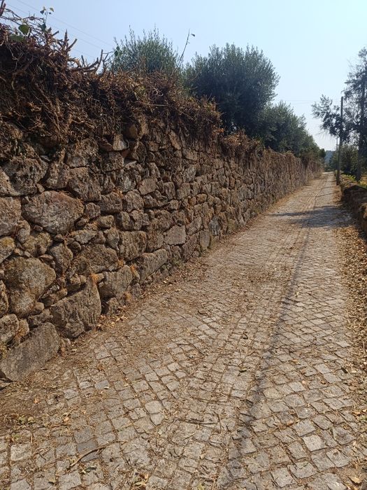 Limpeza de vegetação adjacente a muro