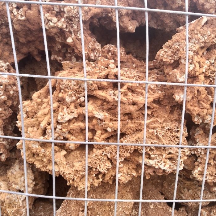 Spaghetti brązowe/ Spaghetti Green, zielone, kamień do akwarium