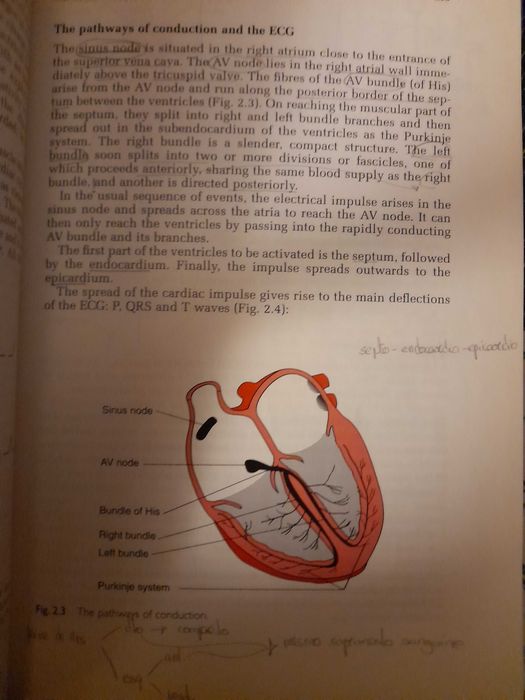 2 livros Textbook of Medical Physiology e Cardiology