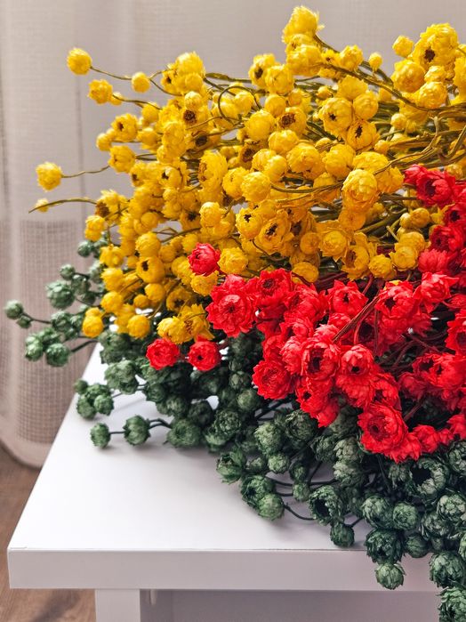 Аммобіум фарбований