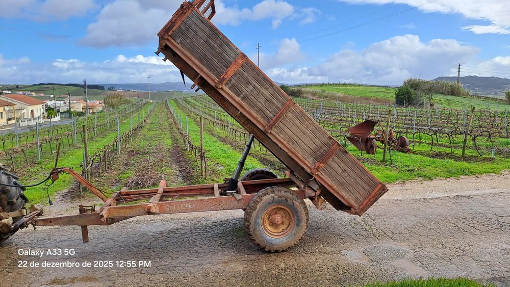 Reboque galucho 5000kg, tribasculante