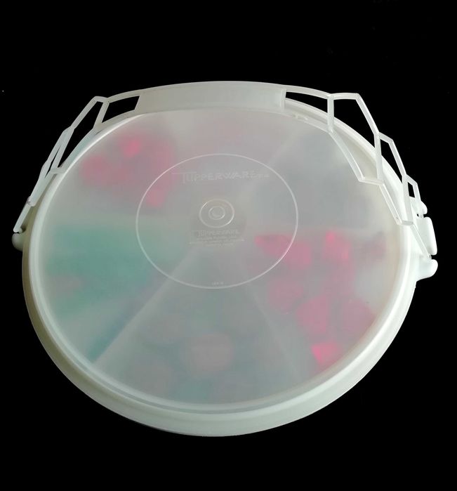 Tupperware Snack Box or Serving Tray for Appetizers430894192714721284