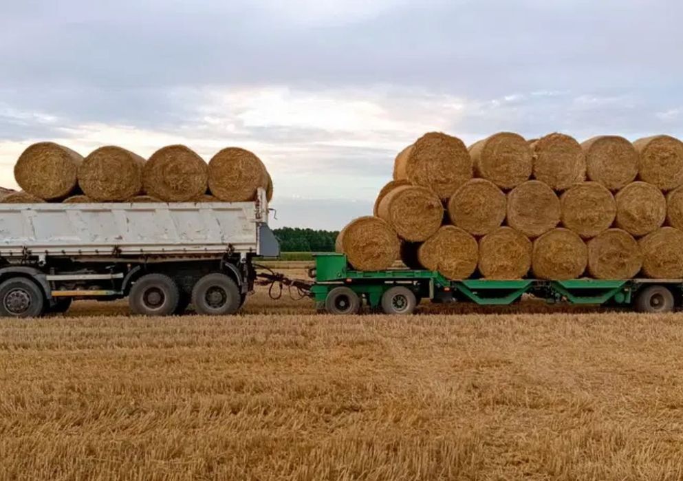 Szybki transport słomy siana i kiszonek Płońsk Mazowsze