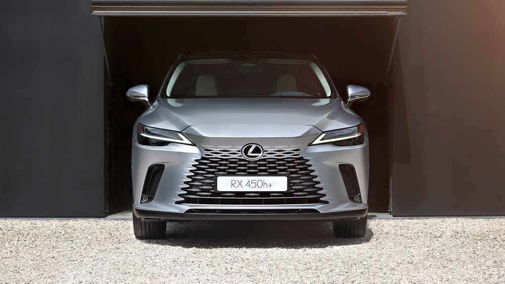 Zdjęcie w galerii numer 5