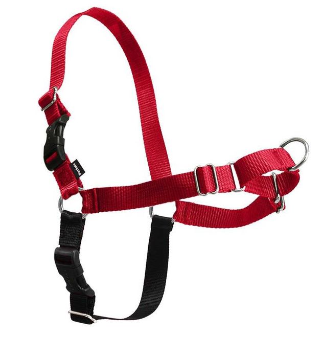 NOVO - Easy Walk, peitoral anti-puxão + tela - PetSafe