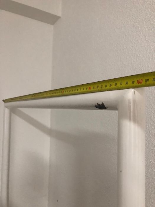 Expositor de roupa / Charriot